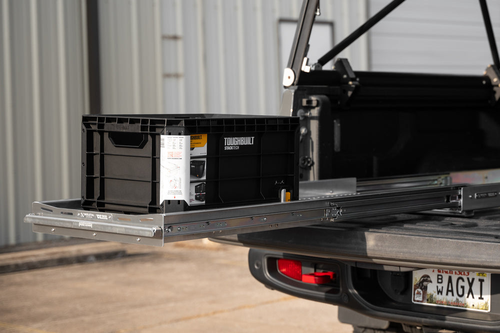 Skeletal System – OzTech